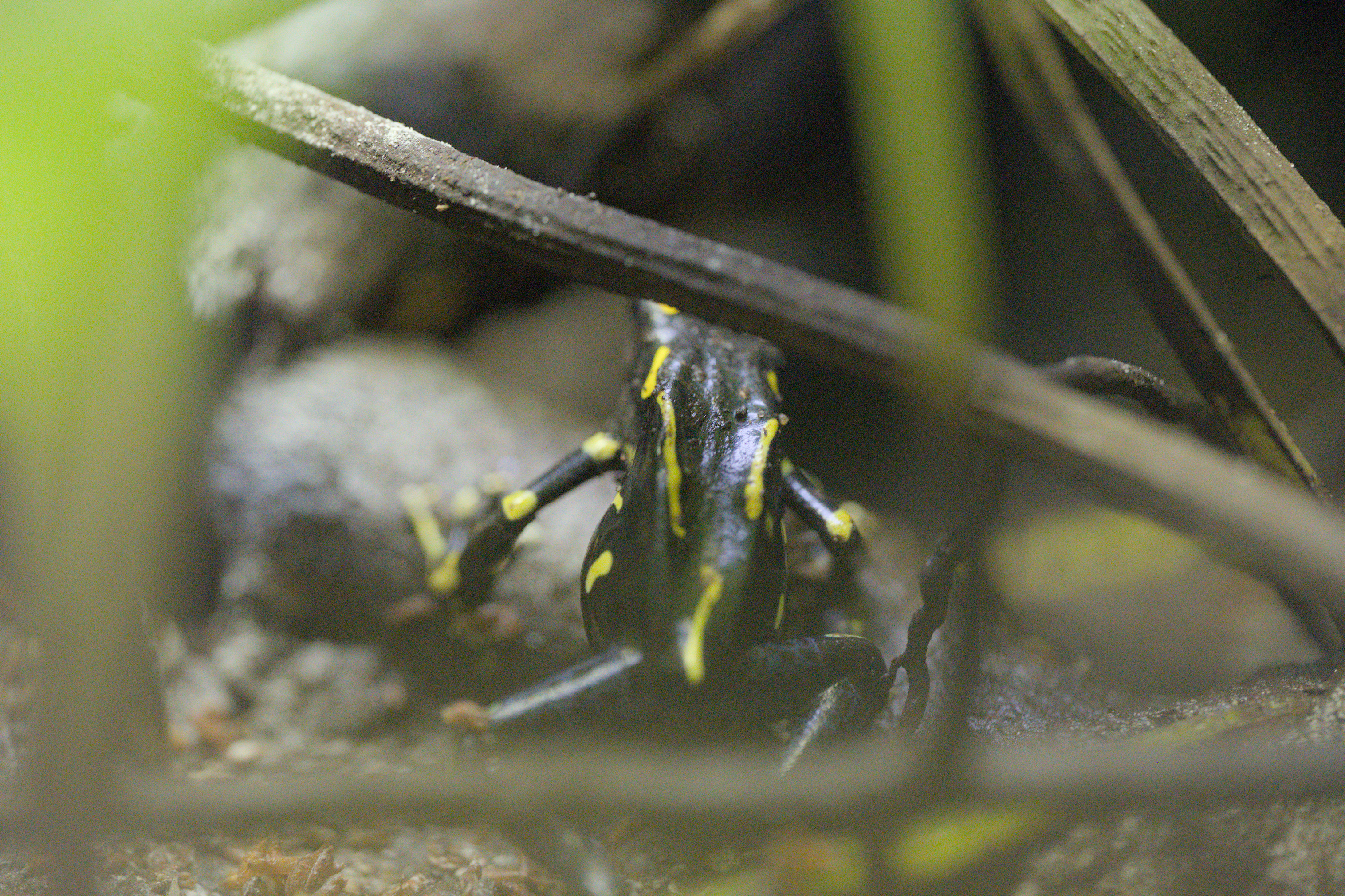 2025/10/12 - zoo/DSC_0189.jpg